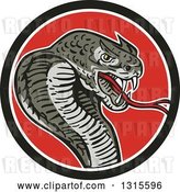 Vector Clip Art of Retro Cartoon Attacking Cobra Snake in a Black White and Red Circle by Patrimonio
