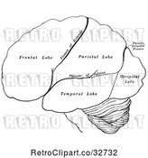 Vector Clip Art of Retro Cartoon Diagram of the Hemispheres of the Human Brain by Picsburg