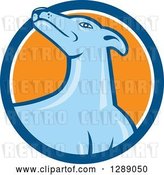 Vector Clip Art of Retro Cartoon Greyhound Dog in a Blue White and Orange Circle by Patrimonio
