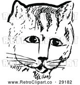 Vector Clip Art of Retro Cat Face by Prawny Vintage
