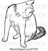 Vector Clip Art of Retro Cat Grooming by Prawny Vintage