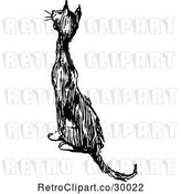 Vector Clip Art of Retro Cat Meowing and Sitting by Prawny Vintage