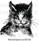 Vector Clip Art of Retro Cat Wearing a Bow by Prawny Vintage