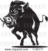Vector Clip Art of Retro Charging Wild Boar Pig by Patrimonio