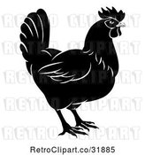 Vector Clip Art of Retro Chicken in Profile by AtStockIllustration