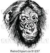 Vector Clip Art of Retro Chimp Face by Prawny Vintage