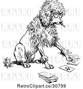 Vector Clip Art of Retro Clever Poodle Playing Cards by Prawny Vintage