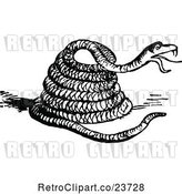Vector Clip Art of Retro Coiled Snake by Prawny Vintage