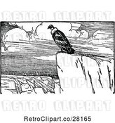 Vector Clip Art of Retro Condor on a Cliff by Prawny Vintage