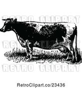 Vector Clip Art of Retro Cow 1 by Prawny Vintage
