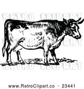 Vector Clip Art of Retro Cow 2 by Prawny Vintage