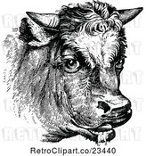 Vector Clip Art of Retro Cow Portrait 1 by Prawny Vintage