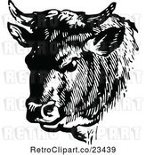 Vector Clip Art of Retro Cow Portrait 2 by Prawny Vintage
