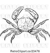 Vector Clip Art of Retro Crab by Prawny Vintage