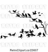 Vector Clip Art of Retro Crows in a Bare Tree by Prawny Vintage