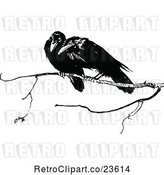 Vector Clip Art of Retro Crows on a Branch by Prawny Vintage