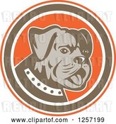 Vector Clip Art of Retro Cute Bulldog in an Orange Brown and White Circle by Patrimonio