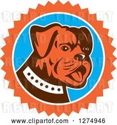 Vector Clip Art of Retro Cute Bulldog in an Orange White and Blue Burst by Patrimonio