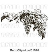 Vector Clip Art of Retro Dark Grapes and Leaves Border by AtStockIllustration