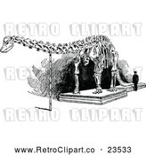Vector Clip Art of Retro Diplodocus Dinosaur Skeleton by Prawny Vintage