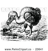 Vector Clip Art of Retro Dodo Bird by Prawny Vintage