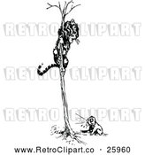 Vector Clip Art of Retro Dog Chasing a Tiger in a Tree by Prawny Vintage