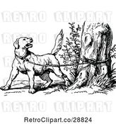 Vector Clip Art of Retro Dog Tied to a Tree by Prawny Vintage