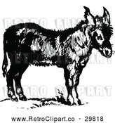 Vector Clip Art of Retro Donkey by Prawny Vintage