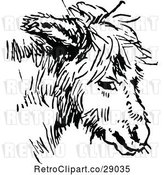 Vector Clip Art of Retro Donkey Face by Prawny Vintage