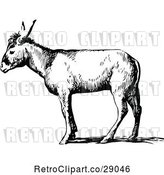 Vector Clip Art of Retro Donkey in Profile by Prawny Vintage
