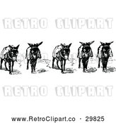 Vector Clip Art of Retro Donkeys by Prawny Vintage