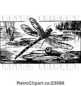 Vector Clip Art of Retro Dragonfly over a Pond by Prawny Vintage