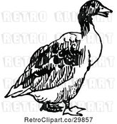 Vector Clip Art of Retro Duck by Prawny Vintage