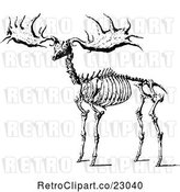 Vector Clip Art of Retro Elk Skeleton by Prawny Vintage