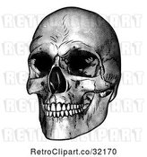 Vector Clip Art of Retro Engraved Human Skull by AtStockIllustration