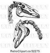 Vector Clip Art of Retro Engravings of Horse Skull and Neck Bones in by Picsburg