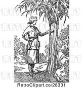 Vector Clip Art of Retro Explorer Lady Reading a Note on a Tree by Prawny Vintage