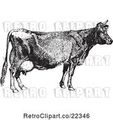 Vector Clip Art of Retro Farm Cow by BestVector