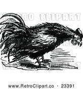 Vector Clip Art of Retro Farm Rooster 1 by Prawny Vintage