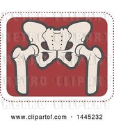 Vector Clip Art of Retro Flat Styled Tan and Red Human Pelvis Medical Design by Vector Tradition SM