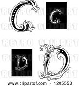 Vector Clip Art of Retro Floral Letter C and D 2 by Vector Tradition SM