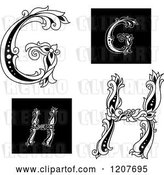Vector Clip Art of Retro Floral Letter G and H by Vector Tradition SM