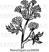 Vector Clip Art of Retro Flowering Plant 2 by Prawny Vintage