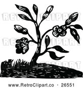 Vector Clip Art of Retro Flowering Plant by Prawny Vintage