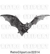 Vector Clip Art of Retro Flying Bat by BestVector
