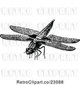 Vector Clip Art of Retro Flying Dragonfly by Prawny Vintage