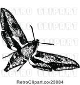 Vector Clip Art of Retro Flying Moth by Prawny Vintage