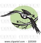 Vector Clip Art of Retro Flying Raven and Green Circle Logo by Patrimonio