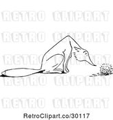 Vector Clip Art of Retro Fox Sniffing a Hedgehog by Prawny Vintage