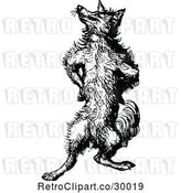 Vector Clip Art of Retro Fox Standing Upright and Posing by Prawny Vintage